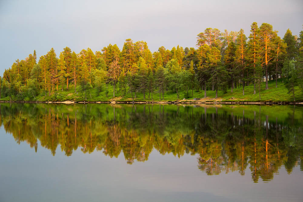 Rapatjärn