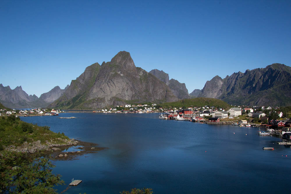 Reine